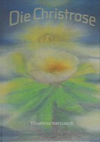 Christrose 1