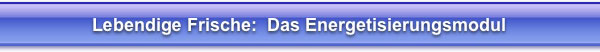 Das Energetisierungsmodul